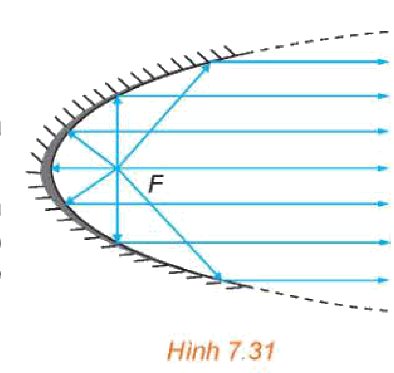 Hình 7.31: Quang học parabol