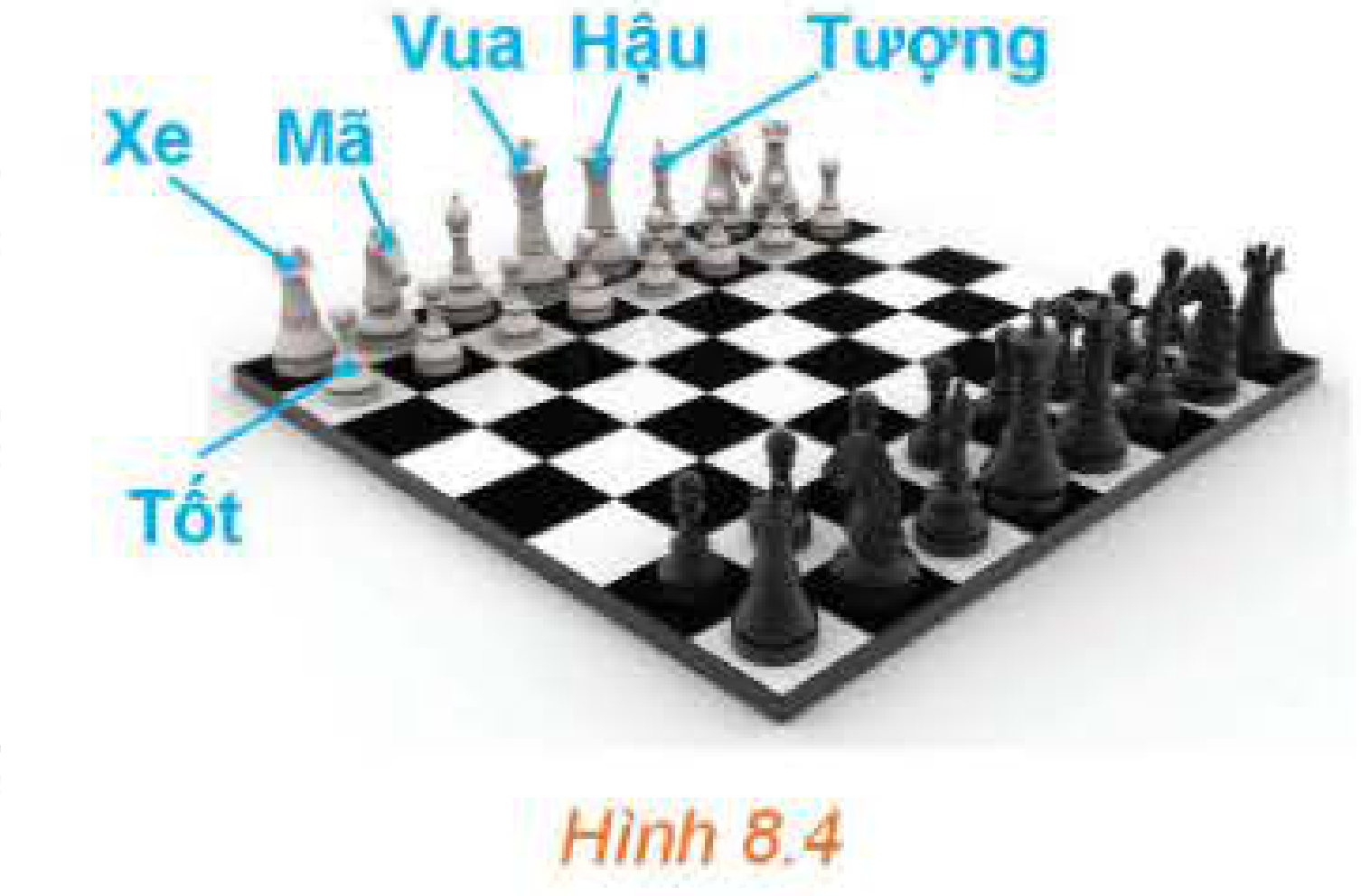 Hình 8.4: Bàn cờ vua 32 quân