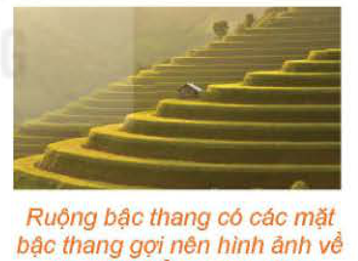 Ruộng bậc thang