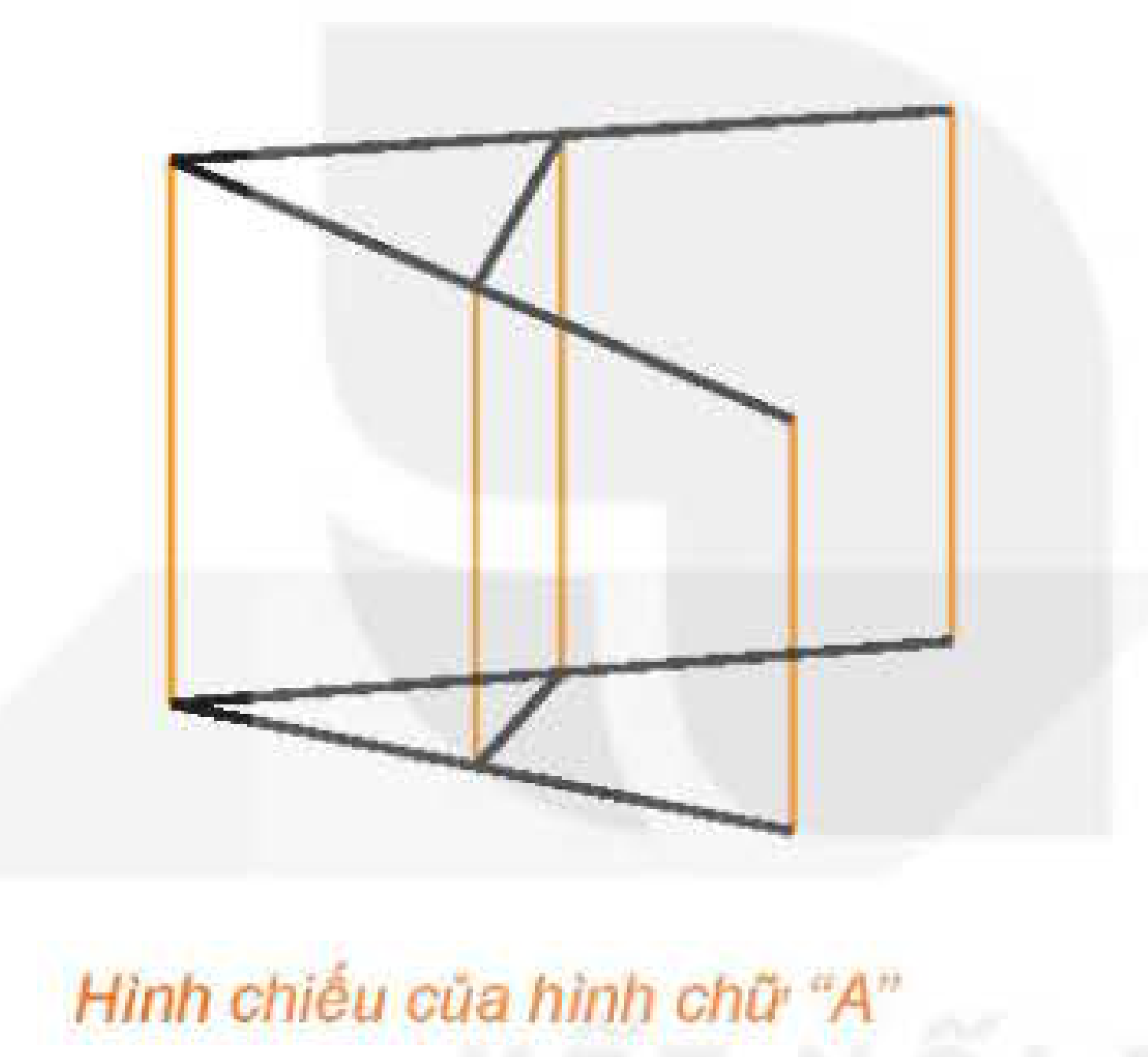 Hình chiếu chữ A