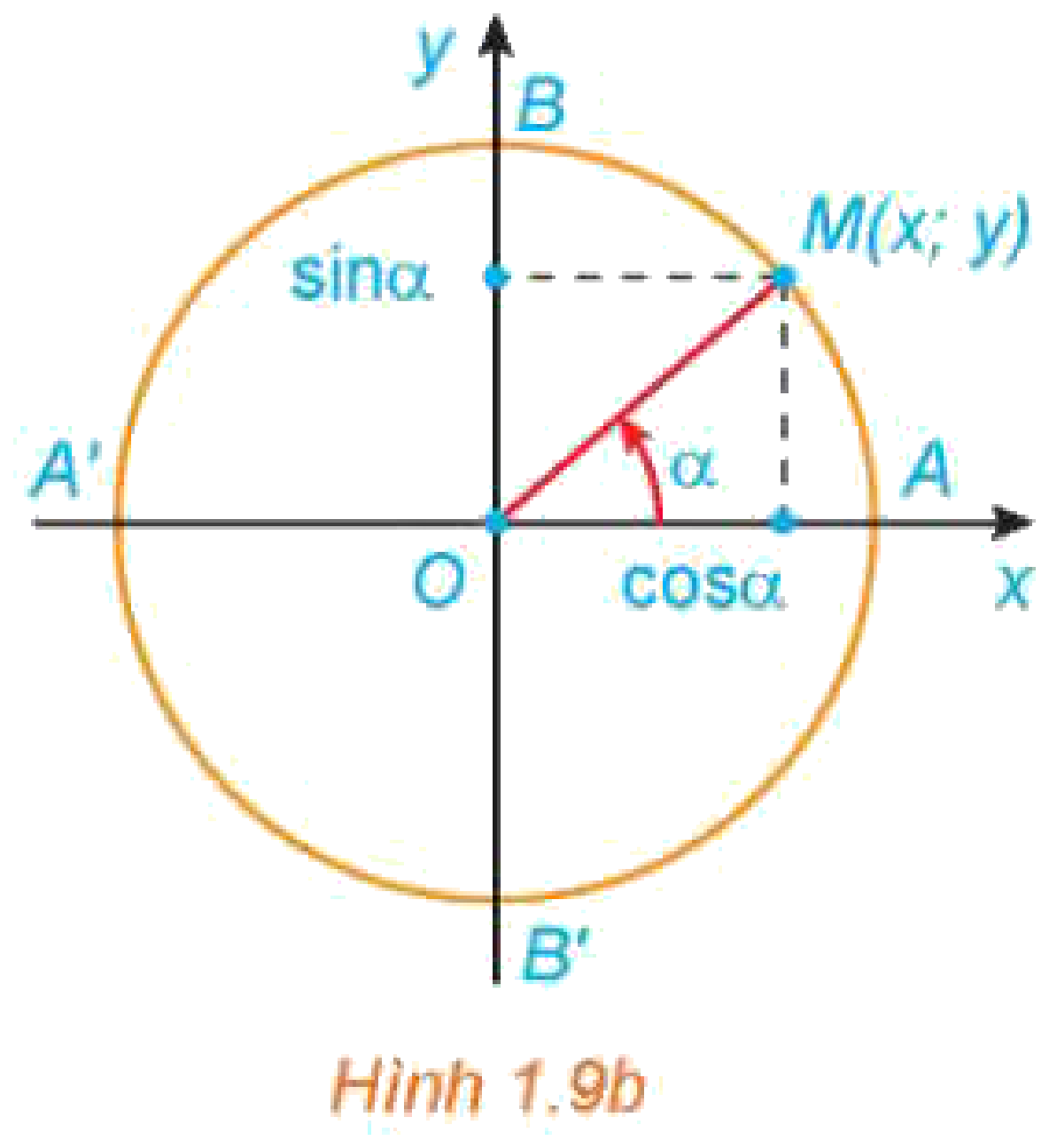 Hình 1.9b Mở rộng cho góc lượng giác bất kì